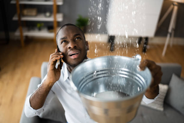 Best 24-hour water damage restoration  in Oriole Beach, FL