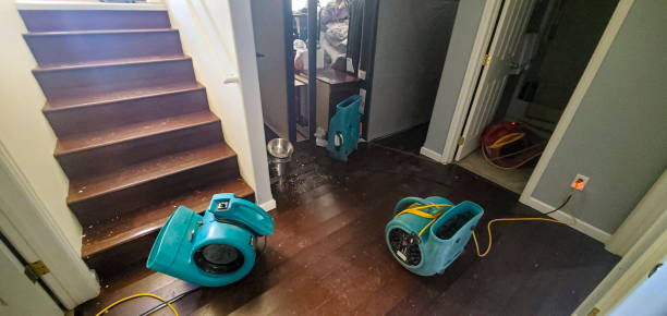 Best 24-hour water damage restoration  in Oriole Beach, FL