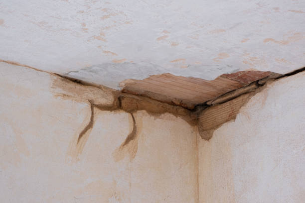 Best Water damage restoration near me  in Oriole Beach, FL