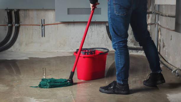 Best Water damage restoration specialists  in Oriole Beach, FL