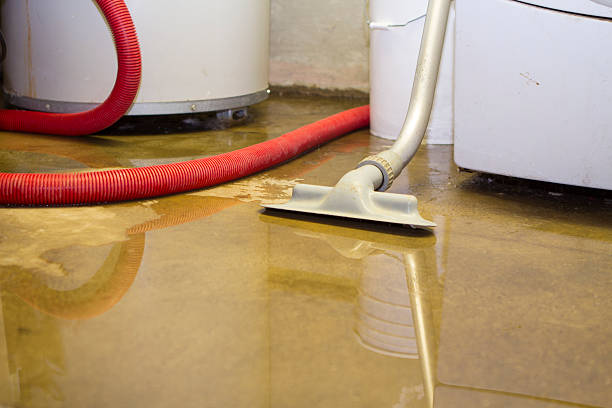 Best Mold removal after water damage  in Oriole Beach, FL
