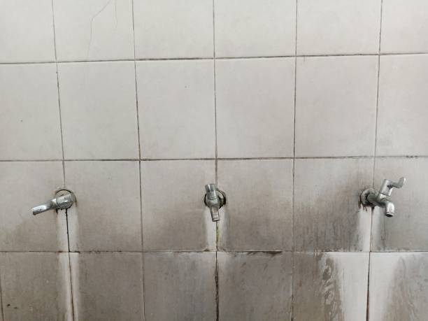 Best Emergency water extraction  in Oriole Beach, FL